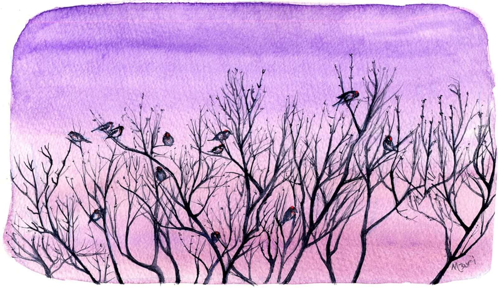Redpolls by Mari Basiletti