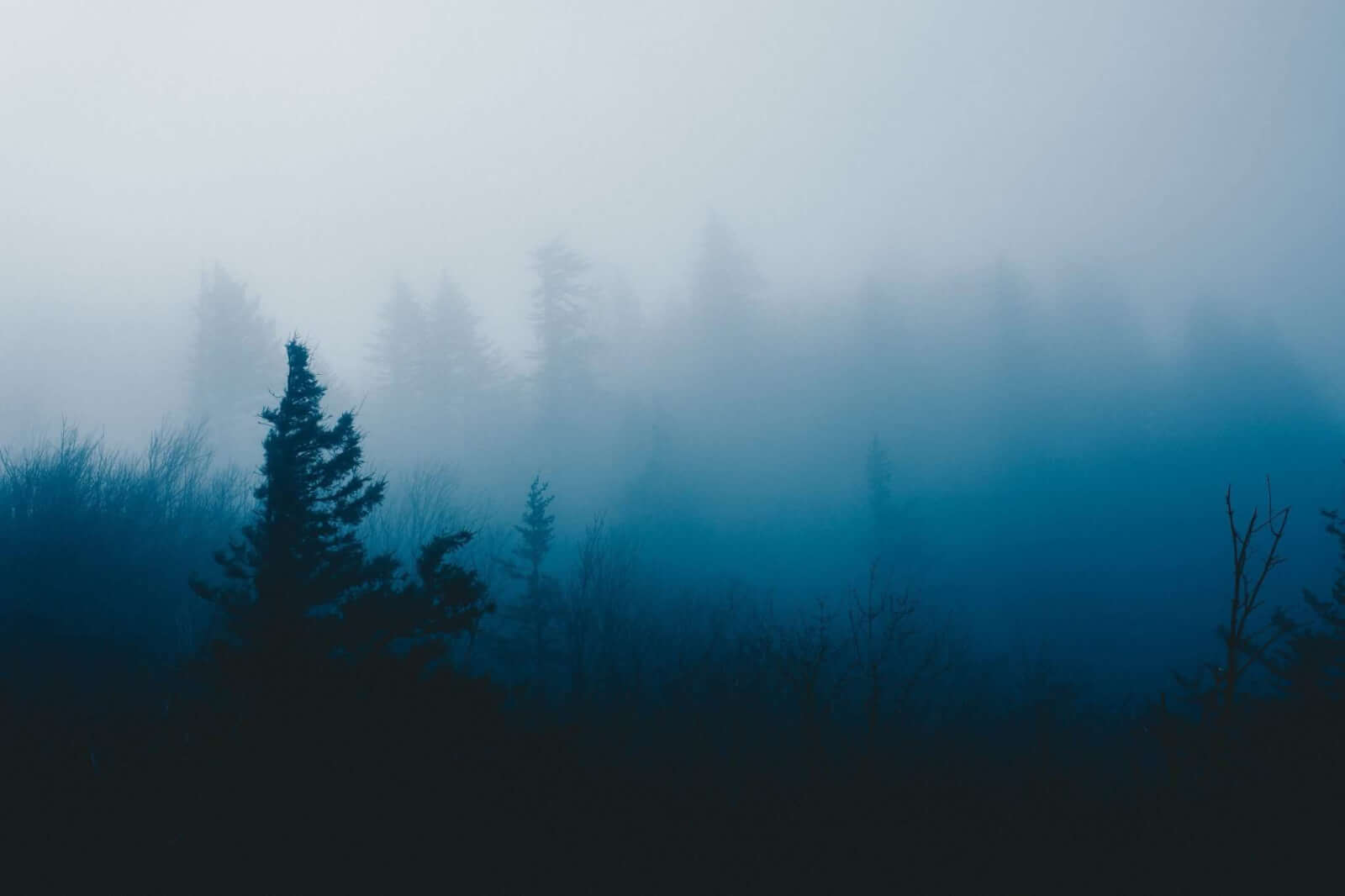 Photo by Cole Keister [Unsplash.com]