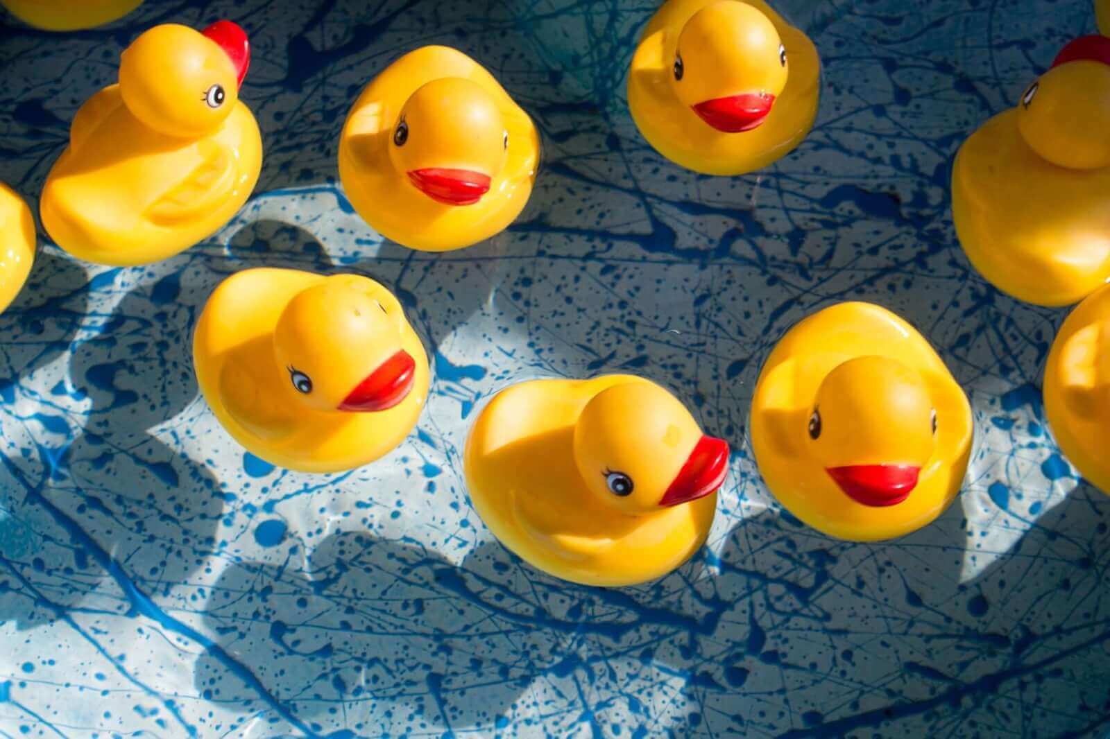 Hidden Duck Challenge