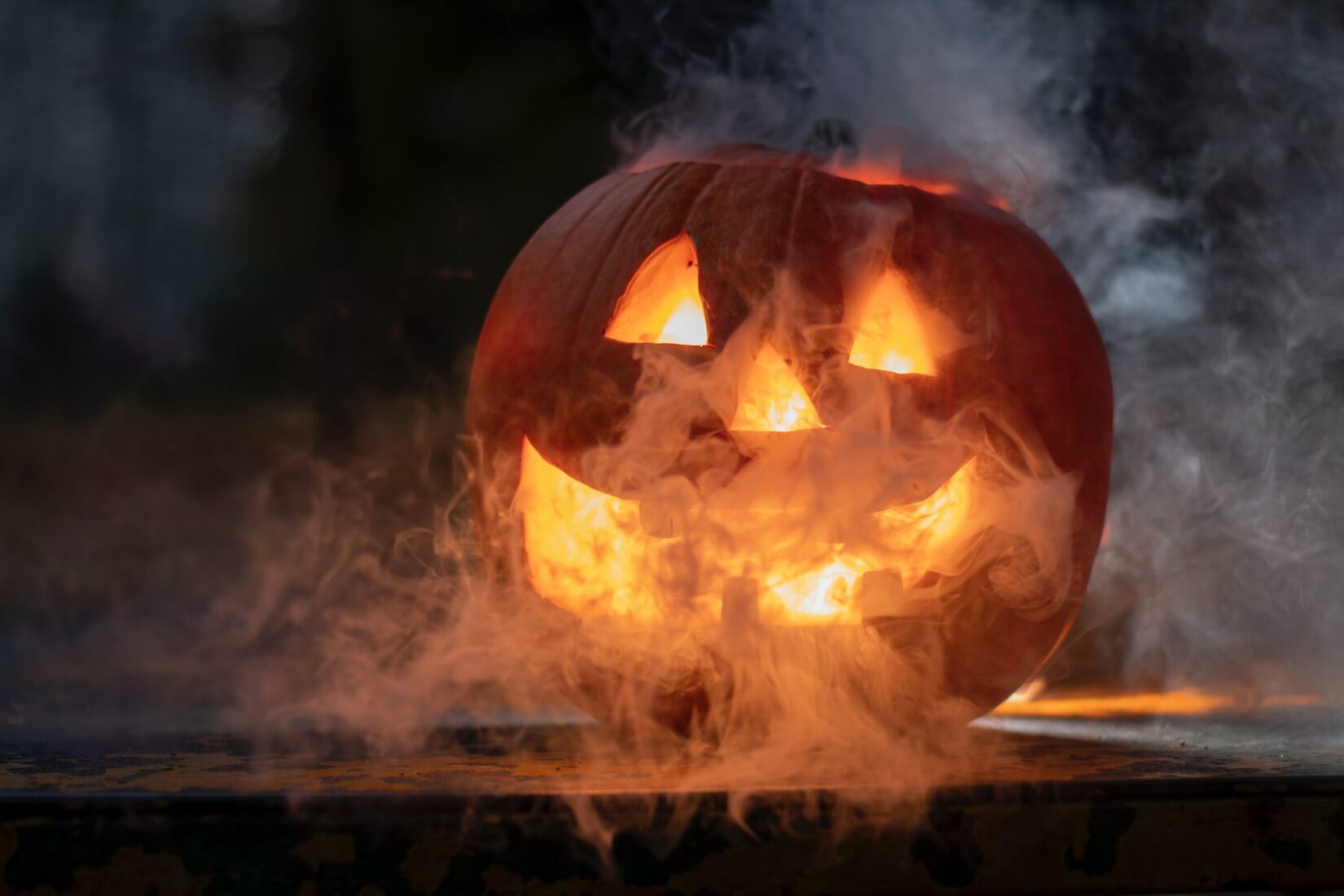 Photo by Szabo Janos [Unsplash.com]