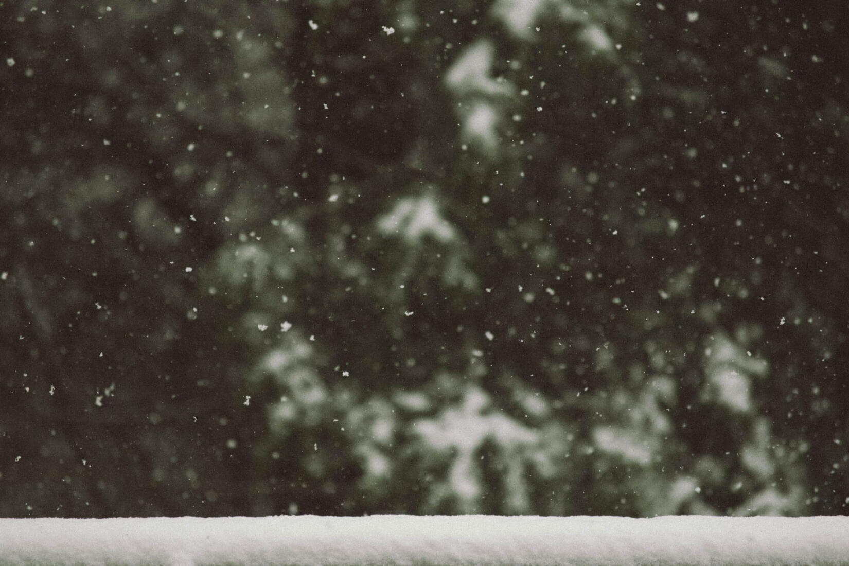 Photo by Nathan Fertig [Unsplash.com]
