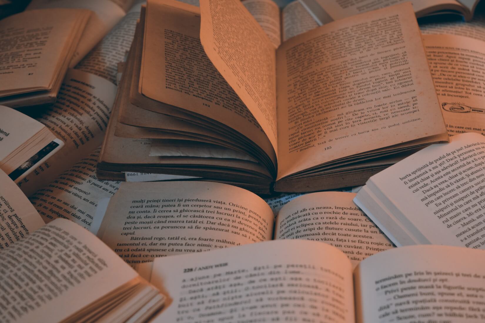 Photo by Vrinceanu Iulia [Unsplash.com]