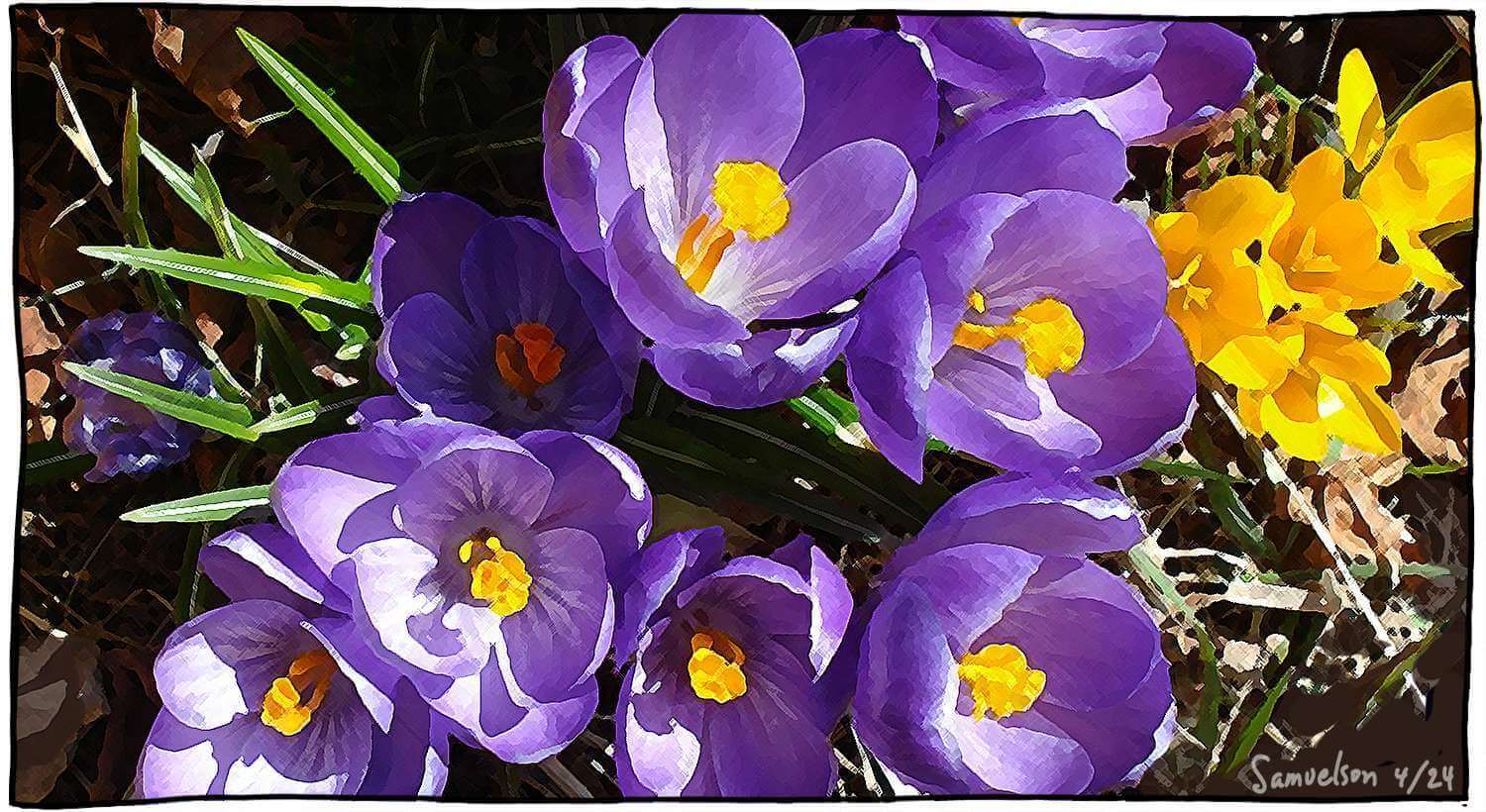 Sites of Spring