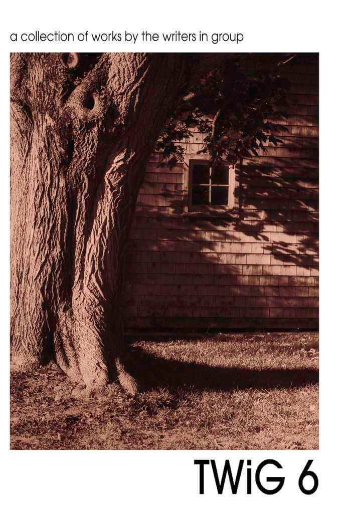 TWiG 6