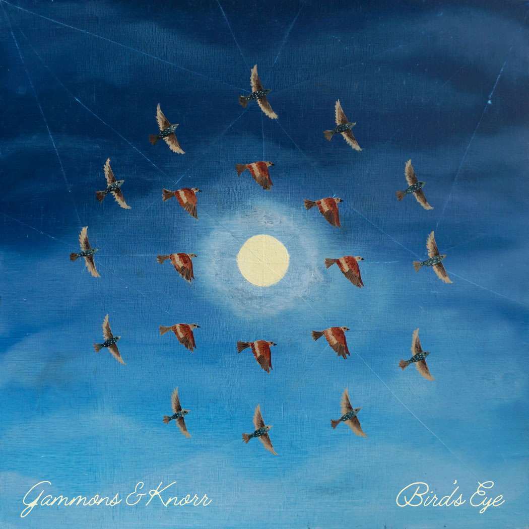 Bird’s Eye