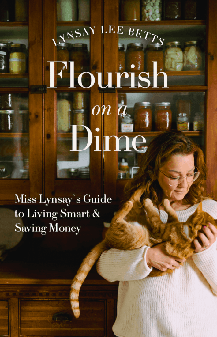Flourish on a Dime: Miss Lynsay’s Guide to Living Smart & Saving Money