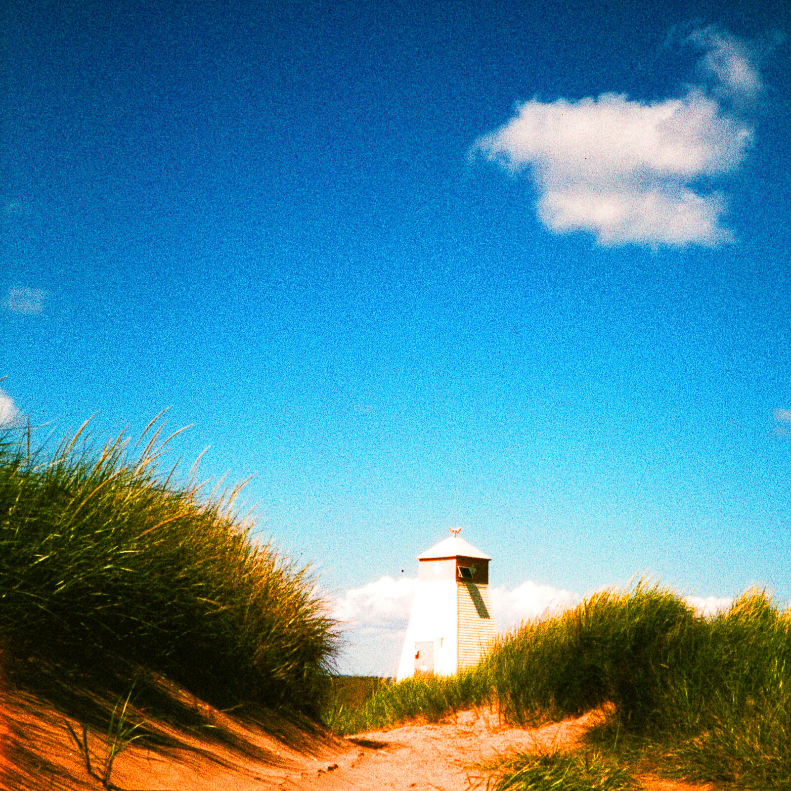 Photography Workshops